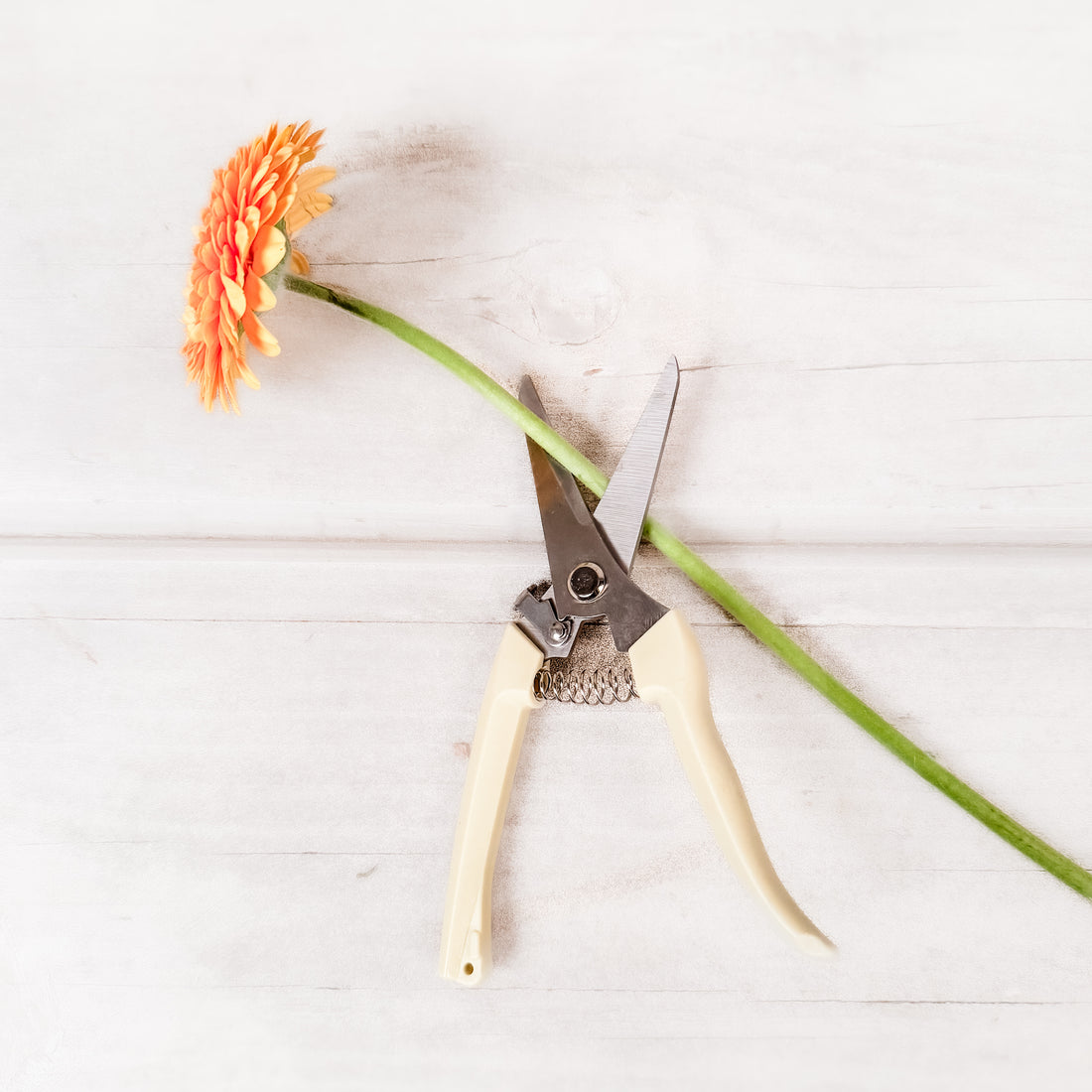 Tijera para flores