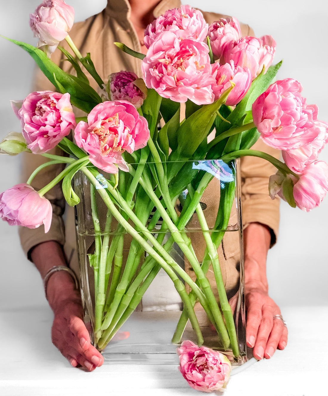 Tulipán variedad peonía — flor especial para ocasiones únicas