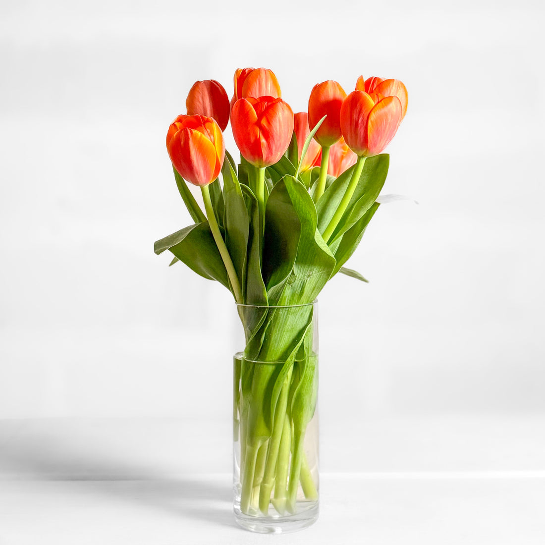 Tulipina