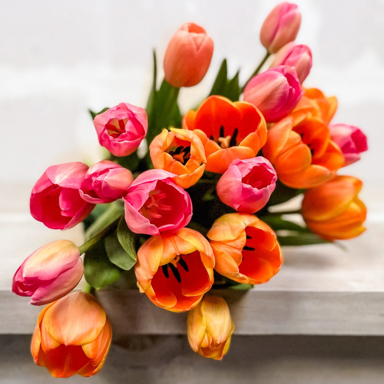 Atado de Tulipanes