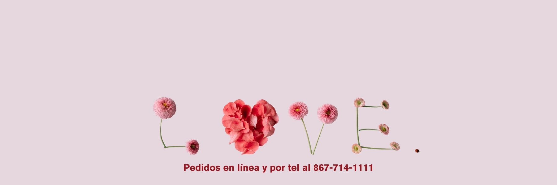 flores san valentin nuevo laredo