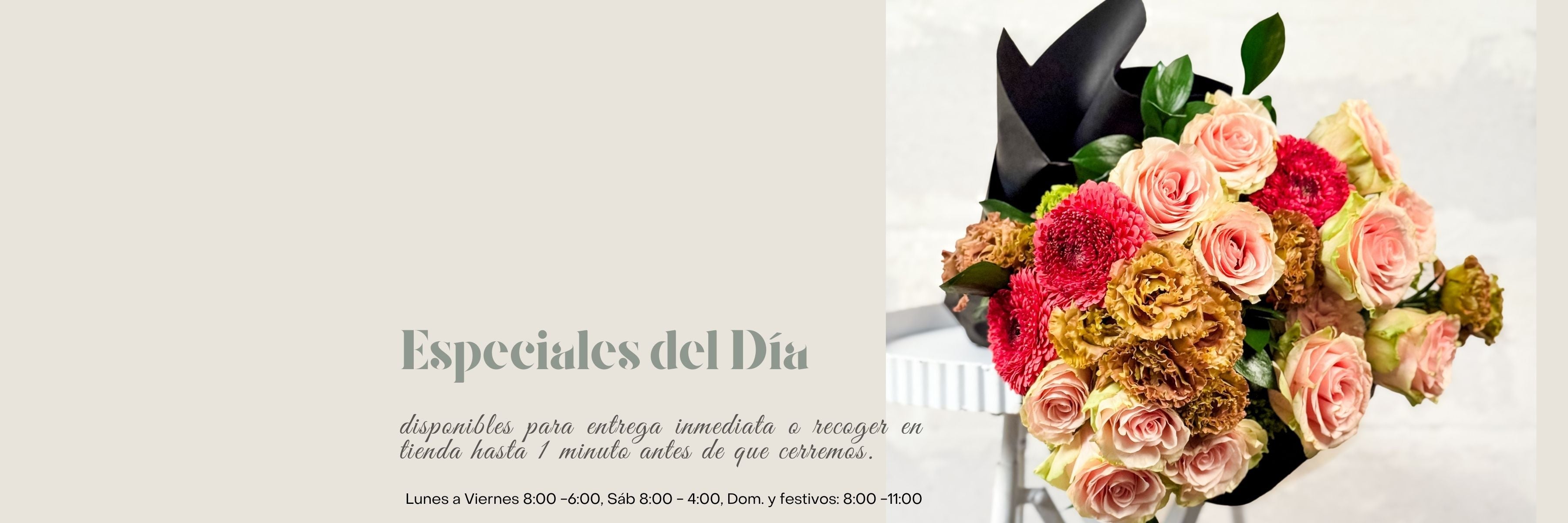 Especiales del Día