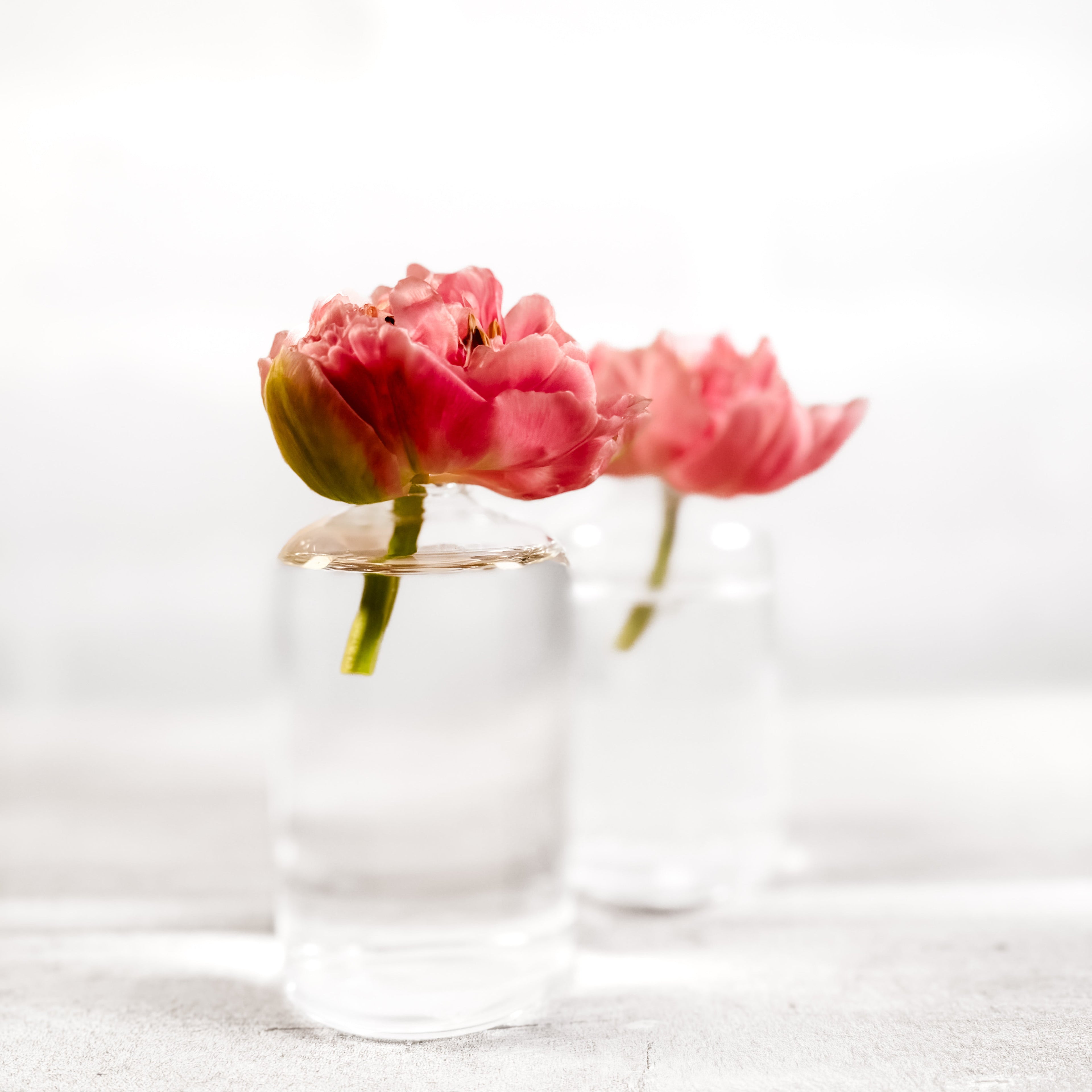 Set de Floreritos Highball