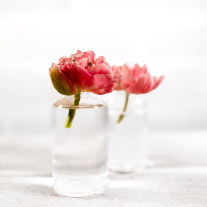 Set de Floreritos Highball