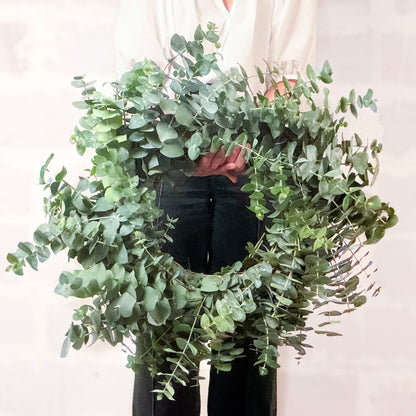 Corona de eucalipto natural para puerta