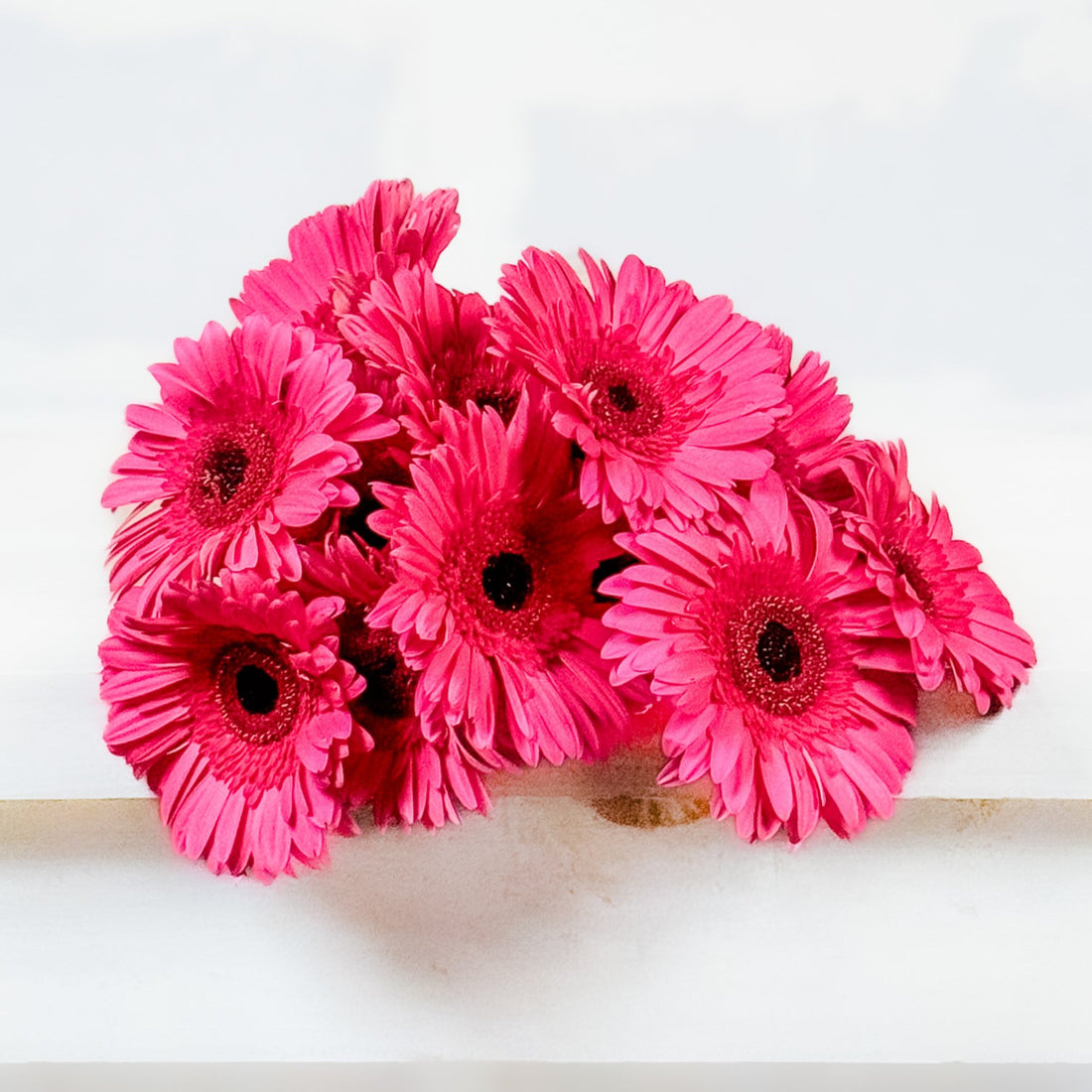 Gerberas | Flor Suelta Nuevo Laredo — Paola Flores y Casa