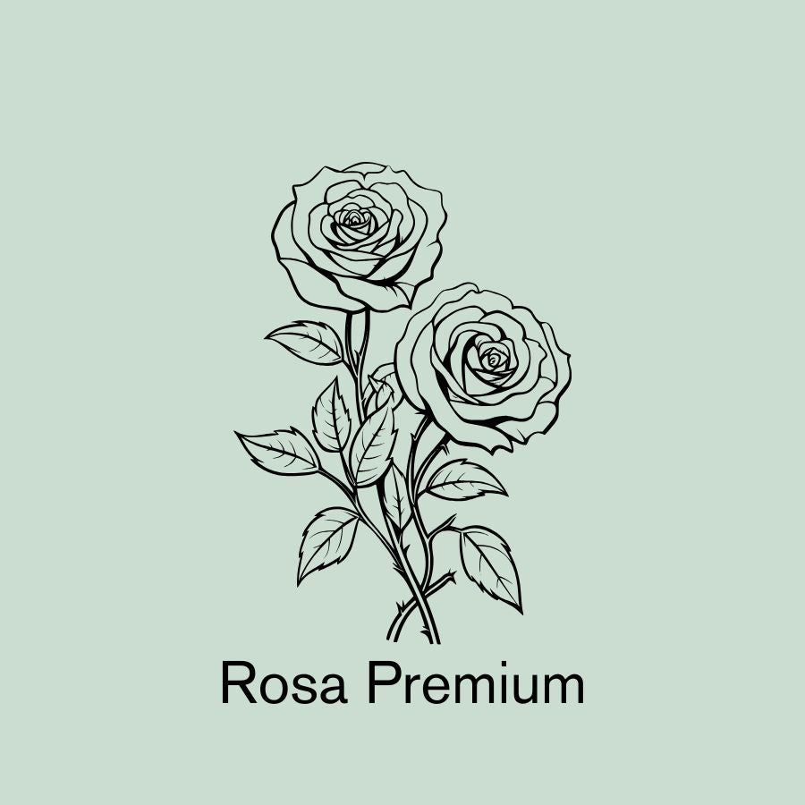 Rosa Premium | 12 tallos