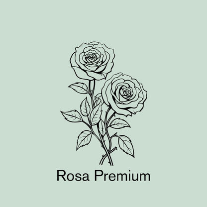 Rosa Premium | 12 tallos