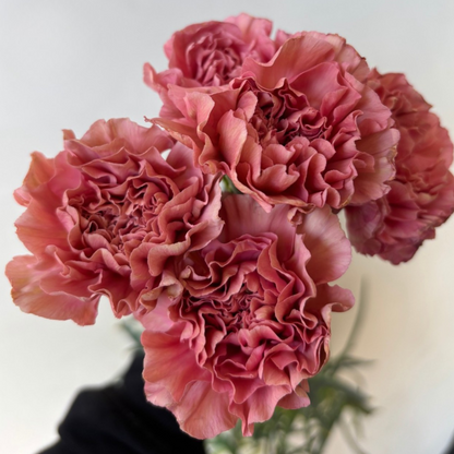 Clavel de color | 12 tallos
